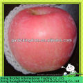 Shandong yantai fuji apple